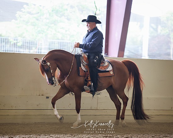 AHANC Show