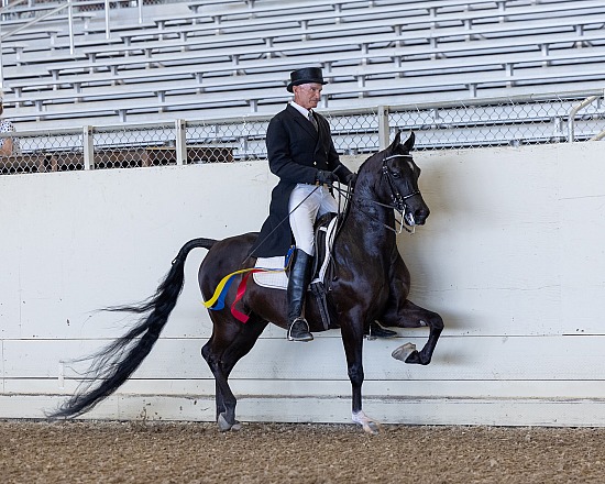 Pacific Slope Championship Show
